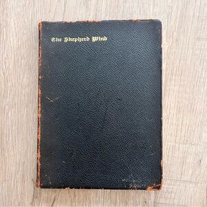 Rare 1893 The Shepherd Wind And Other Verses By Osman Castle Hooper Antique Book